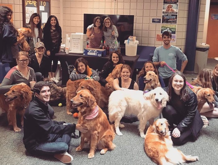 The University Of Tulsa có nhiều trường trực thuộc