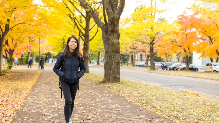 Dominican University College có chương trình đại học và SĐH