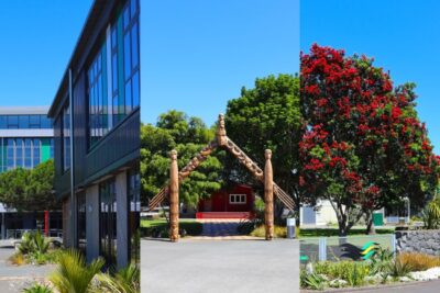 Du học New Zealand: Western Springs College đào tạo học sinh trung học phổ thông