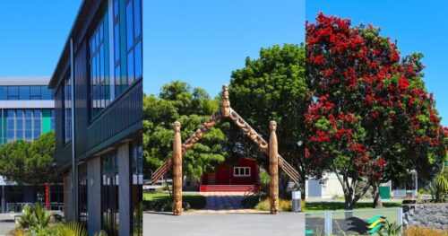 Du học New Zealand: Western Springs College đào tạo học sinh trung học phổ thông