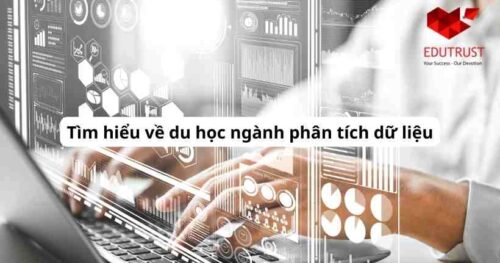 Du học EduTrust: Tìm hiểu về du học ngành phân tích dữ liệu