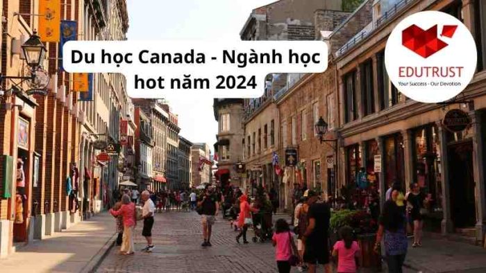 Du học Canada: Ngành học hot năm 2024