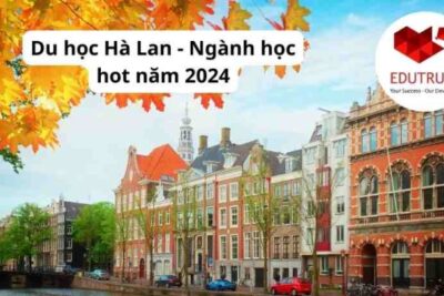 Du học Hà Lan: Ngành học hot năm 2024