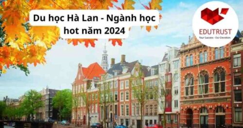 Du học Hà Lan: Ngành học hot năm 2024