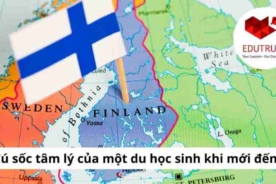 Du học Phần Lan: Cú sốc tâm lý của một du học sinh khi mới đến