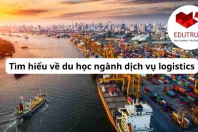 Du học EduTrust: Tìm hiểu về du học ngành dịch vụ logistics