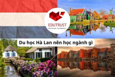 Du học Hà Lan nên học ngành gì