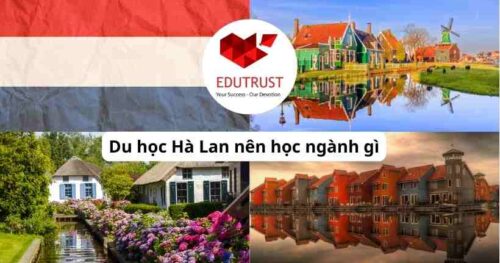 Du học Hà Lan nên học ngành gì