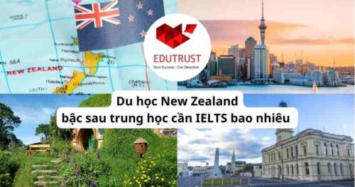 Du học New Zealand bậc sau trung học cần IELTS bao nhiêu