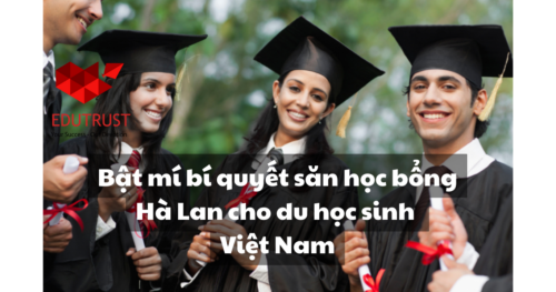 Học bổng Hà Lan: Bật mí bí quyết săn học bổng cho du học sinh Việt Nam