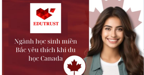 Du học Canada: Ngành học sinh miền Bắc yêu thích