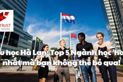 Du học Hà Lan: Top 5 Ngành học ‘hot’ nhất mà bạn không thể bỏ qua!