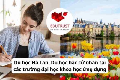 Du học Hà Lan: Du học bậc cử nhân tại các trường đại học khoa học ứng dụng