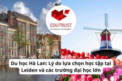 Du học Hà Lan: Lý do lựa chọn học tập tại Leiden và các trường đại học lớn