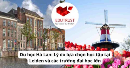 Du học Hà Lan: Lý do lựa chọn học tập tại Leiden và các trường đại học lớn