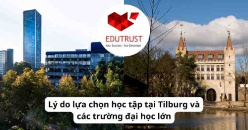 Du học Hà Lan: Lý do lựa chọn học tập tại Tilburg và các trường đại học lớn