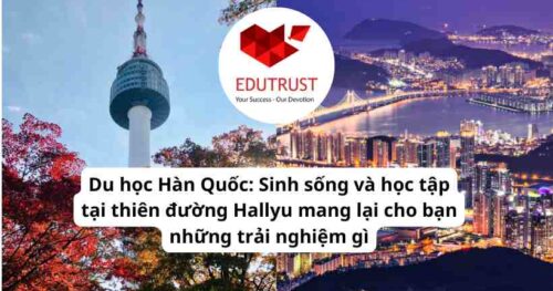 Du học Hàn Quốc: Sinh sống và học tập tại thiên đường Hallyu mang lại cho bạn những trải nghiệm gì