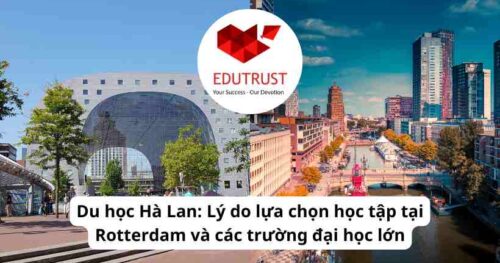 Du học Hà Lan: Lý do lựa chọn học tập tại Rotterdam và các trường đại học lớn