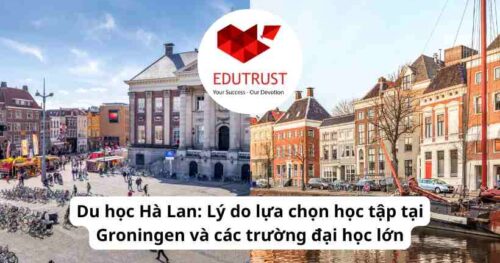 Du học Hà Lan: Lý do lựa chọn học tập tại Groningen và các trường đại học lớn
