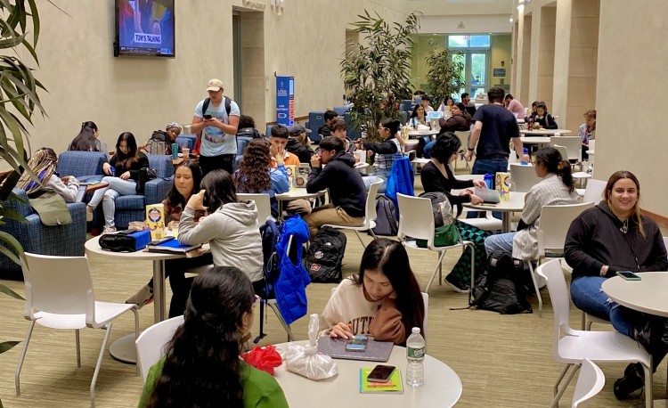 Sinh viên đang học tập tại University of Massachusetts Boston