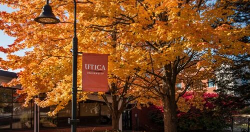 Du học Mỹ: UTICA University cùng trải nghiệm giáo dục toàn diện tại trung tâm New York