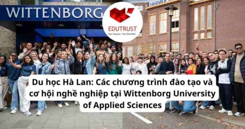Du học Hà Lan: Các chương trình đào tạo và cơ hội nghề nghiệp tại Wittenborg University of Applied Sciences