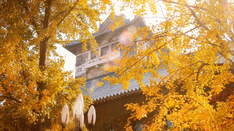 Đại học Nam Kinh có khuôn viên rất đẹp