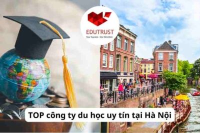 TOP công ty tư vấn du học Hà Lan uy tín tại Việt Nam