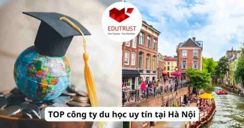 TOP công ty tư vấn du học Hà Lan uy tín tại Việt Nam