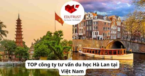 TOP công ty tư vấn du học Hà Lan tại Việt Nam