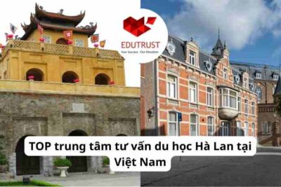 TOP trung tâm tư vấn du học Hà Lan tại Việt Nam