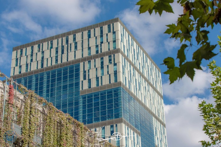 Khuôn viên đẹp đẽ của Đại học Đồng Tế