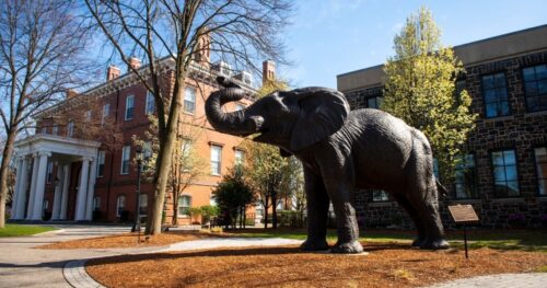 Du học Mỹ: Tufts University luôn được coi là một Little Ivy