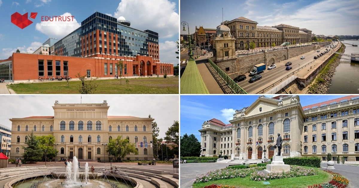 Các trường đại học nổi bật