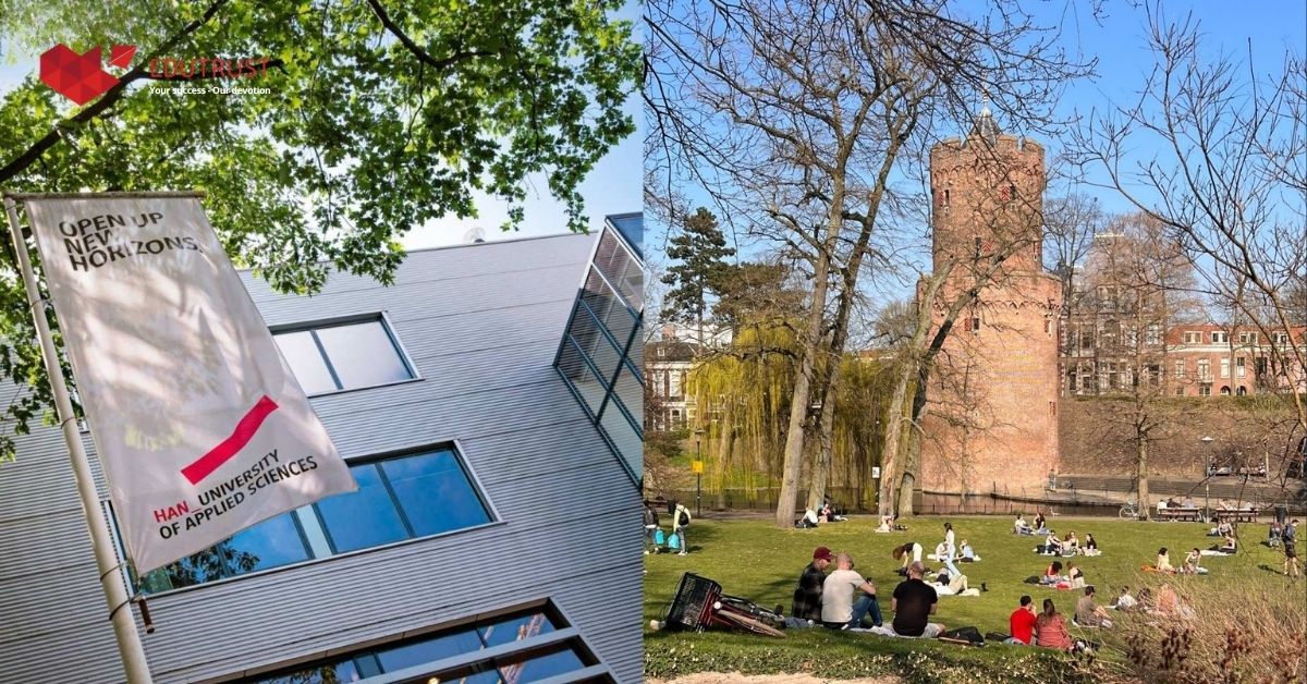 Điều kiện tuyển sinh bậc cử nhân chi tiết