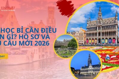 Du học Bỉ cần điều kiện gì? Hồ sơ và yêu cầu mới nhất 2026
