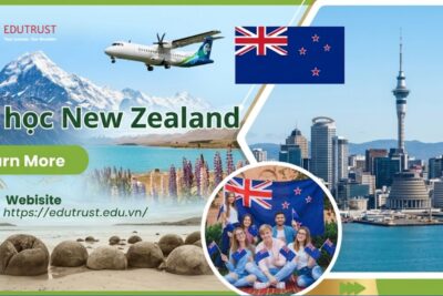 Du học New Zealand cần gì? Điều kiện, hồ sơ & kinh nghiệm thực tế