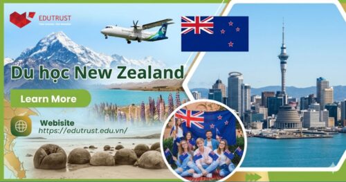 Du học New Zealand cần gì? Điều kiện, hồ sơ & kinh nghiệm thực tế