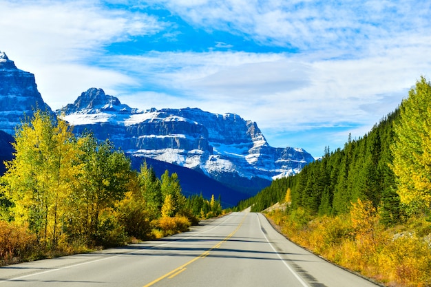 The road 93, highway in alberta, canada | Premium Photo