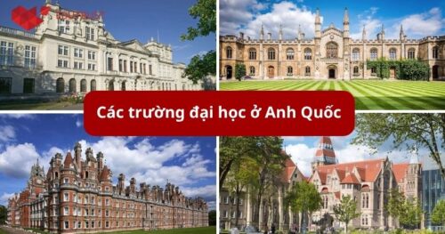 Danh sách các trường đại học ở Anh Quốc? Tổng hợp chi tiết