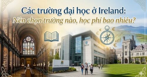 Các trường đại học ở Ireland: Nên chọn trường nào, học phí bao nhiêu?