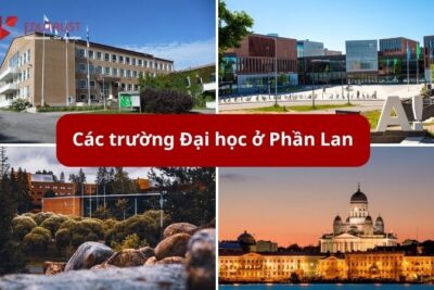 Danh sách các trường Đại học ở Phần Lan theo Thành phố
